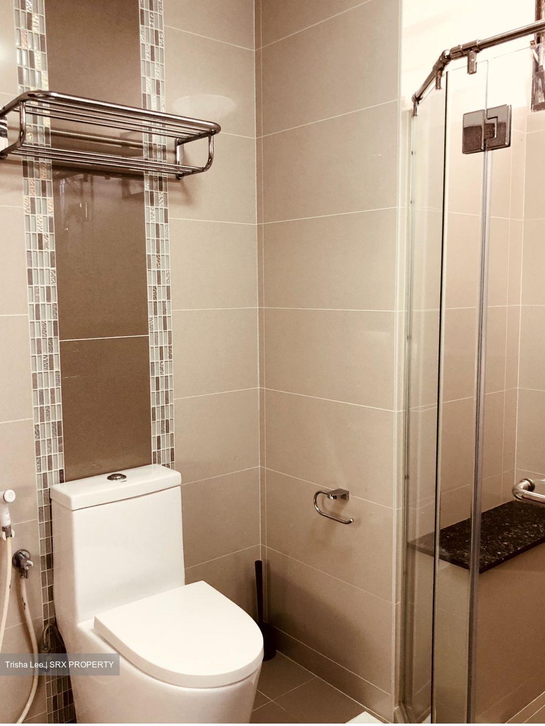 Sommerville Park (D10), Condominium #572693341